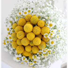 まん丸の形がかわいい黄色いお花グラスペディアをマトリカリアやかすみ草でぐるりと囲んだ個性派ブーケ。 ブーケ,イエロー