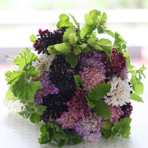 ラベンダー色〜ワイン、ボルドー系まで、様々な紫の濃淡のスカビオサでまとめたブーケ。ミントやゼラニウムなどのハーブを加えて爽やかに。