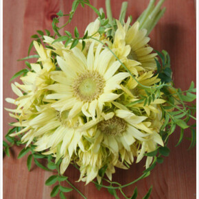 レモンイエローのひまわりを使った夏のブーケ。ワントーンでまとめることで、カジュアルになり過ぎず上品にまとまります。 ブーケ,イエロー