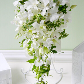 白い蘭、デンファレを使ったキャスケードブーケ ブーケ,ホワイト