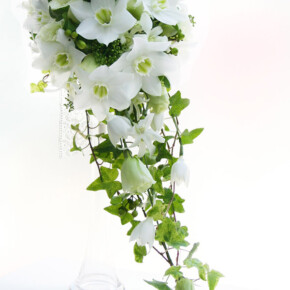 純白のユーチャリスを贅沢に使ったスリムキャスケードブーケ ブーケ,ホワイト