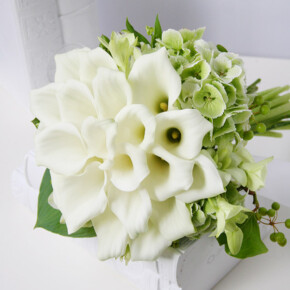 白いカラーを一つの花のように中央に集め、周りにグリーンのアジサイをあしらったクラッチブーケ