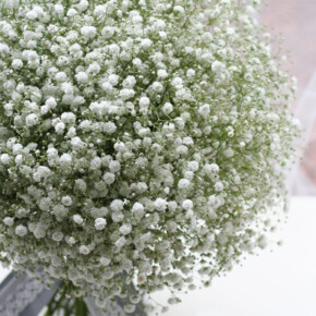 かすみそうのブーケ ブーケ,ホワイト